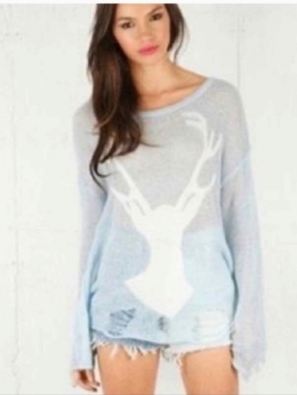 Wildfox white label distressed deer sweater-Light Blue O/S